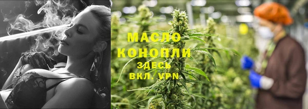 дмт Котовск