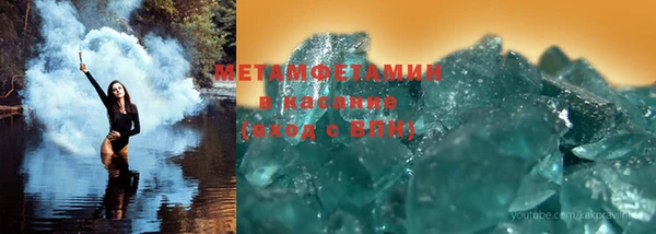 гидра Няндома