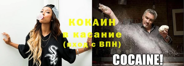 гидра Няндома