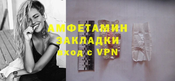 гидра Няндома