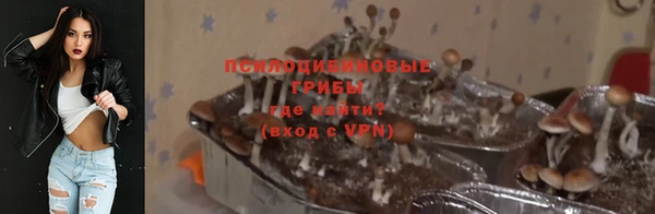 ALPHA PVP Нязепетровск