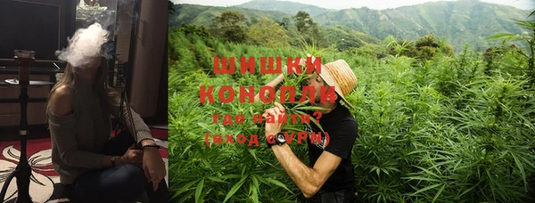 гидра Няндома