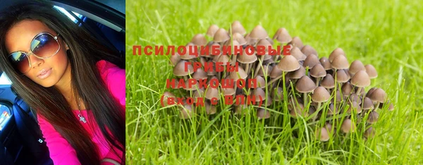 ALPHA PVP Нязепетровск