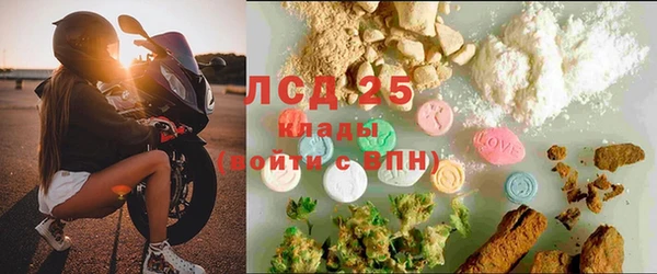 сатива Осинники