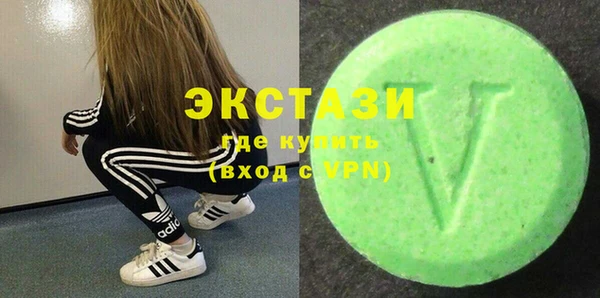 гидра Няндома