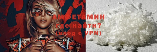 гидра Няндома