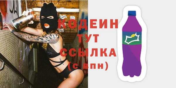 гидра Няндома