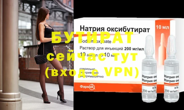 гидра Няндома