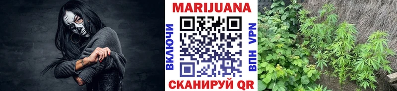 купить сайты Малая Вишера Конопля VHQ